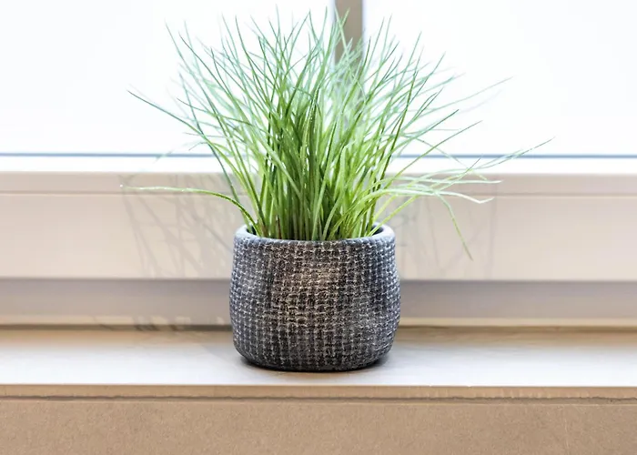 Vogelsang * Lennestadt